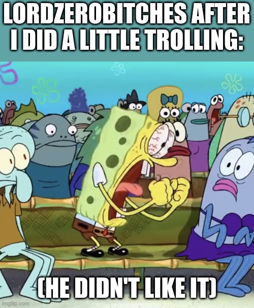 Spongebob Yelling | LORDZEROBITCHES AFTER I DID A LITTLE TROLLING:; (HE DIDN'T LIKE IT) | image tagged in spongebob yelling | made w/ Imgflip meme maker