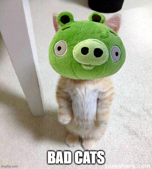 Cute Cat Meme | BAD CATS | image tagged in memes,cute cat | made w/ Imgflip meme maker