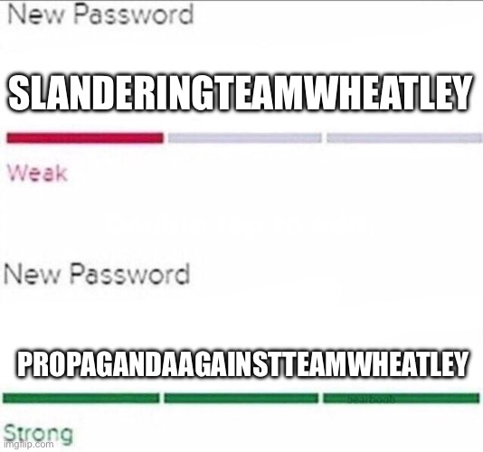 Team Morshu Slander #8 | SLANDERINGTEAMWHEATLEY; PROPAGANDAAGAINSTTEAMWHEATLEY | image tagged in password strength | made w/ Imgflip meme maker
