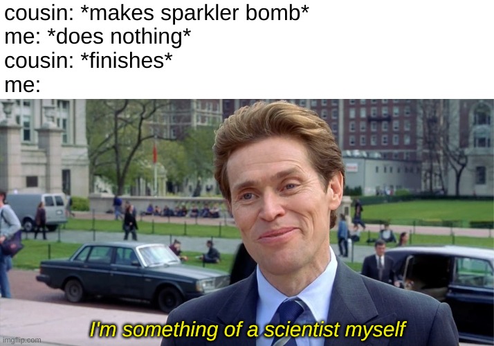 actually happend | cousin: *makes sparkler bomb*
me: *does nothing*
cousin: *finishes*
me:; I'm something of a scientist myself | image tagged in you know i'm something of a scientist myself | made w/ Imgflip meme maker