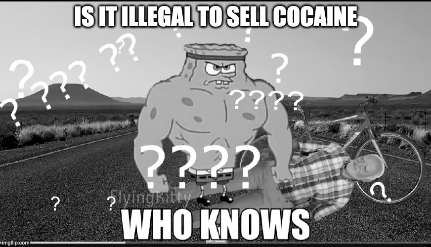 Who knows | IS IT ILLEGAL TO SELL COCAINE | image tagged in who knows | made w/ Imgflip meme maker