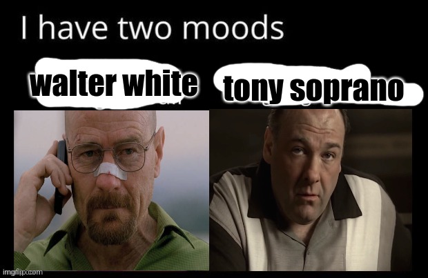 tony soprano; walter white | made w/ Imgflip meme maker