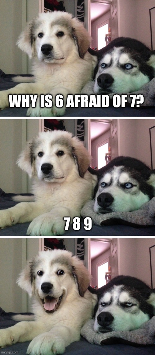 Bad pun dogs | WHY IS 6 AFRAID OF 7? 7 8 9 | image tagged in bad pun dogs,numbers,6,789 | made w/ Imgflip meme maker