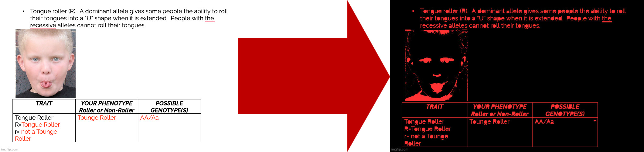 image tagged in red arrow | made w/ Imgflip meme maker