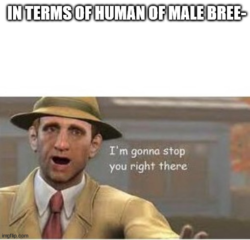i love fallout 4 | IN TERMS OF HUMAN OF MALE BREE- | image tagged in im going to stop you right there | made w/ Imgflip meme maker
