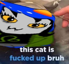 :33 < i fucking hate and love this cat | made w/ Imgflip meme maker