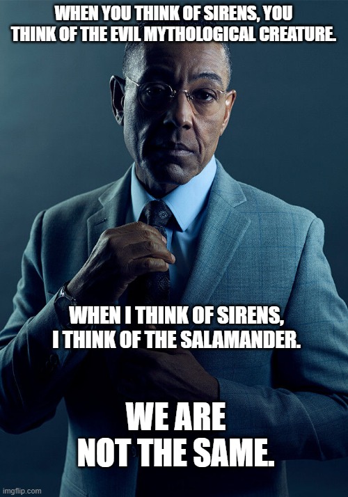 :3 | WHEN YOU THINK OF SIRENS, YOU THINK OF THE EVIL MYTHOLOGICAL CREATURE. WHEN I THINK OF SIRENS, I THINK OF THE SALAMANDER. WE ARE NOT THE SAME. | image tagged in gus fring we are not the same | made w/ Imgflip meme maker