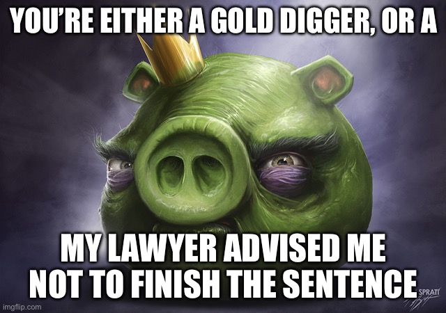 Angry Birds Realistic King Pig | YOU’RE EITHER A GOLD DIGGER, OR A; MY LAWYER ADVISED ME NOT TO FINISH THE SENTENCE | image tagged in angry birds realistic king pig | made w/ Imgflip meme maker