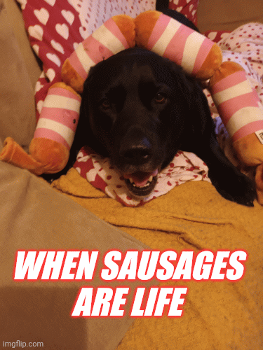 Sausages labrador | WHEN SAUSAGES ARE LIFE | image tagged in gifs,labrador | made w/ Imgflip images-to-gif maker