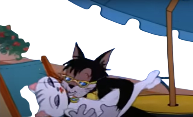 High Quality Butch kissing cat Blank Meme Template