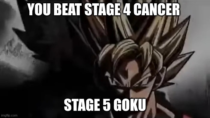 Goku Staring | YOU BEAT STAGE 4 CANCER; STAGE 5 GOKU | image tagged in goku staring | made w/ Imgflip meme maker