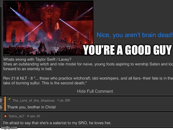 Thanks for that true comment ? | YOU’RE A GOOD GUY | image tagged in taylor swift | made w/ Imgflip meme maker