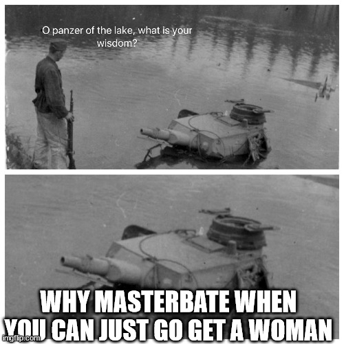 panzer of the lake template | WHY MASTERBATE WHEN YOU CAN JUST GO GET A WOMAN | image tagged in panzer of the lake template | made w/ Imgflip meme maker