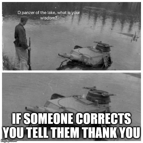 panzer of the lake template | IF SOMEONE CORRECTS YOU TELL THEM THANK YOU | image tagged in panzer of the lake template | made w/ Imgflip meme maker