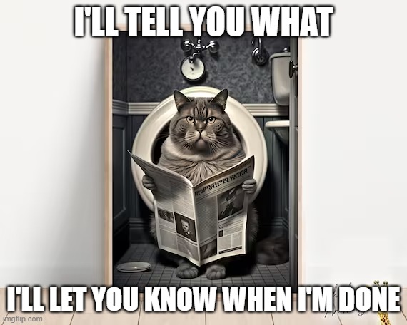 meme by Brad cat on toilet | I'LL TELL YOU WHAT; I'LL LET YOU KNOW WHEN I'M DONE | image tagged in cats,funny meme,funny cat memes,toilet humor,humor,funny | made w/ Imgflip meme maker