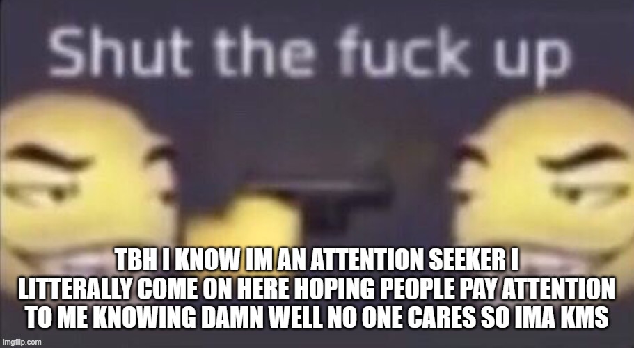 stfu | TBH I KNOW IM AN ATTENTION SEEKER I LITTERALLY COME ON HERE HOPING PEOPLE PAY ATTENTION TO ME KNOWING DAMN WELL NO ONE CARES SO IMA KMS | image tagged in stfu | made w/ Imgflip meme maker