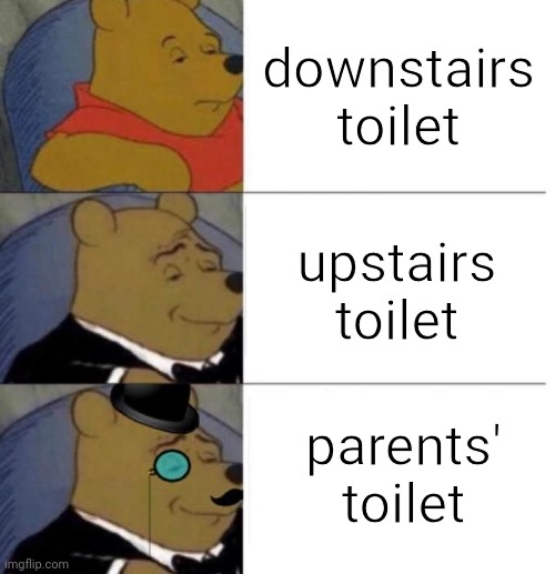 Tuxedo Winnie the Pooh (3 panel) | downstairs toilet; upstairs toilet; parents' toilet | image tagged in tuxedo winnie the pooh 3 panel,how much wood,could a woodchuck chuck,if a woodchuck could chuck wood | made w/ Imgflip meme maker