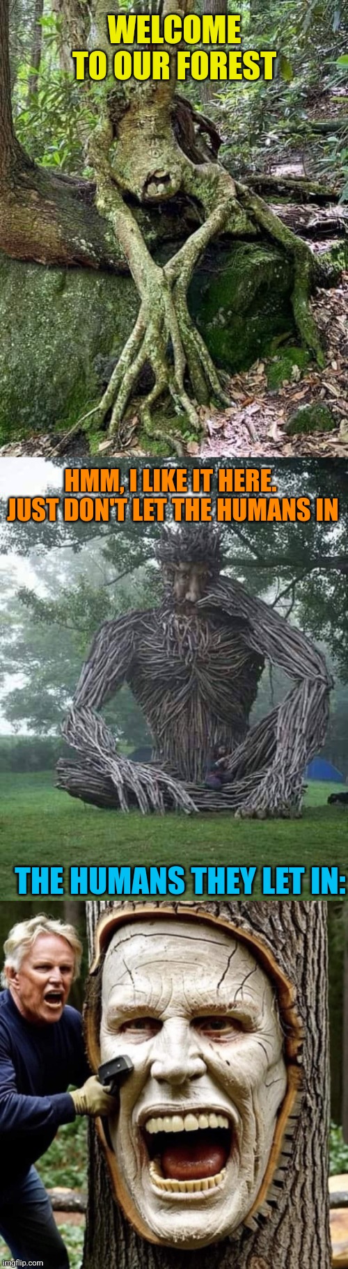 Run, Forest, run! | WELCOME TO OUR FOREST; HMM, I LIKE IT HERE.  JUST DON'T LET THE HUMANS IN; THE HUMANS THEY LET IN: | image tagged in trees,talking,forest,groot,gary busey,tree carving | made w/ Imgflip meme maker