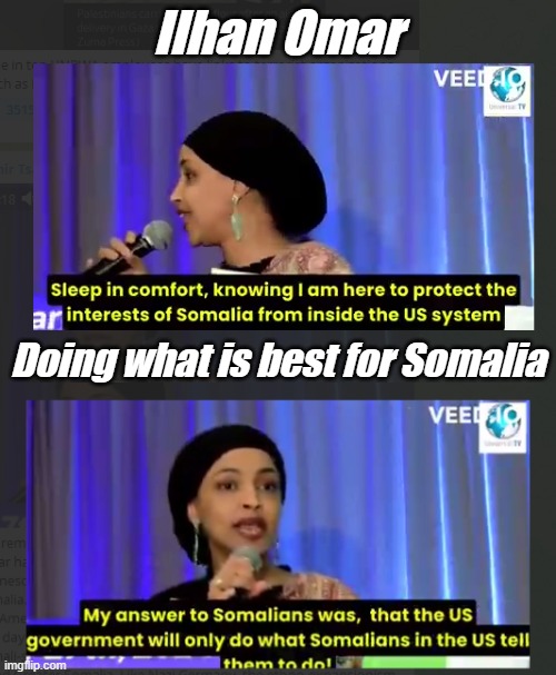 Could be a case of the part below the tail wagging the dog for a certain type of country... | Ilhan Omar; Doing what is best for Somalia | image tagged in ilhan omar,omar,somalia,islam | made w/ Imgflip meme maker