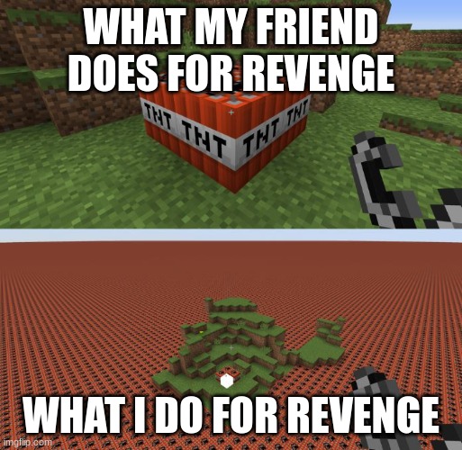 what I do | WHAT MY FRIEND DOES FOR REVENGE; WHAT I DO FOR REVENGE | image tagged in minecraft tnt | made w/ Imgflip meme maker