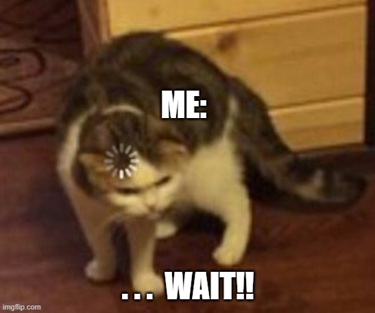 Loading cat | ME: . . .  WAIT!! | image tagged in loading cat | made w/ Imgflip meme maker