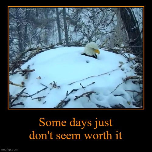 Some days | Some days just don't seem worth it | | image tagged in funny,demotivationals | made w/ Imgflip demotivational maker