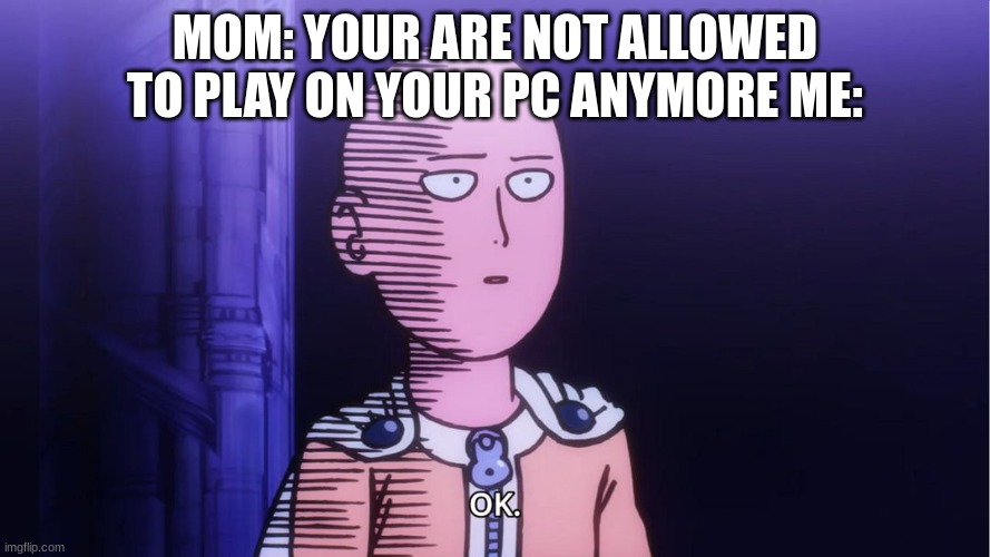 bruh | MOM: YOUR ARE NOT ALLOWED TO PLAY ON YOUR PC ANYMORE ME: | image tagged in saitama ok | made w/ Imgflip meme maker
