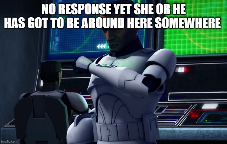 clone trooper | NO RESPONSE YET SHE OR HE HAS GOT TO BE AROUND HERE SOMEWHERE | image tagged in clone trooper | made w/ Imgflip meme maker