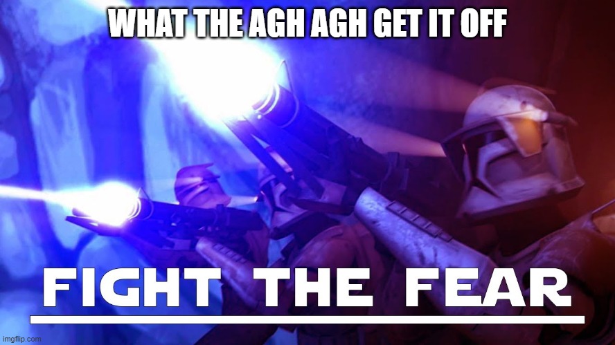 clone troopers | WHAT THE AGH AGH GET IT OFF | image tagged in clone troopers | made w/ Imgflip meme maker