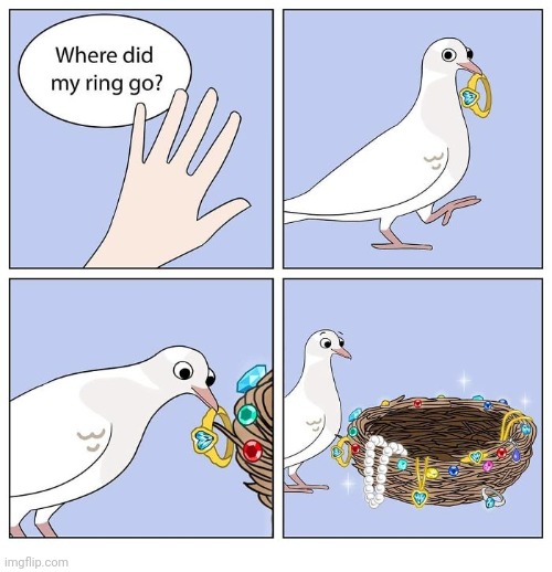 Jewelry | image tagged in ring,rings,chicken thoughts,jewelry,comics,comics/cartoons | made w/ Imgflip meme maker