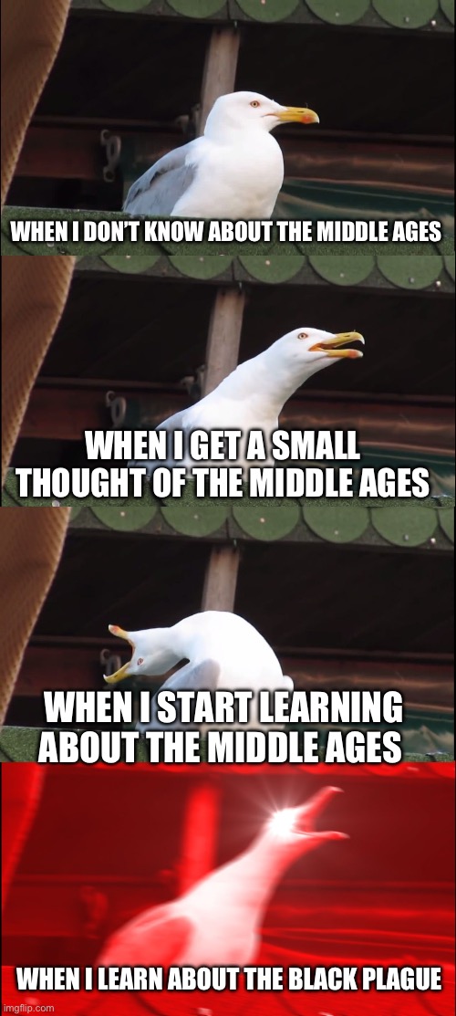 Inhaling Seagull Meme | WHEN I DON’T KNOW ABOUT THE MIDDLE AGES; WHEN I GET A SMALL THOUGHT OF THE MIDDLE AGES; WHEN I START LEARNING ABOUT THE MIDDLE AGES; WHEN I LEARN ABOUT THE BLACK PLAGUE | image tagged in memes,inhaling seagull | made w/ Imgflip meme maker