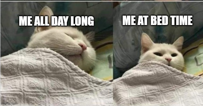 Me status | ME AT BED TIME; ME ALL DAY LONG | image tagged in two cats sleeping blanket | made w/ Imgflip meme maker