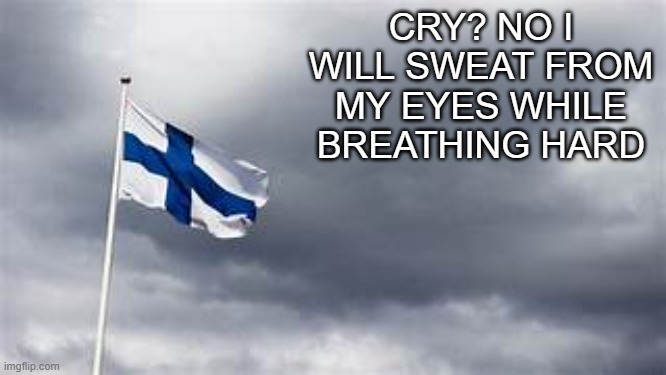 finland flag | CRY? NO I WILL SWEAT FROM MY EYES WHILE BREATHING HARD | image tagged in finland flag | made w/ Imgflip meme maker