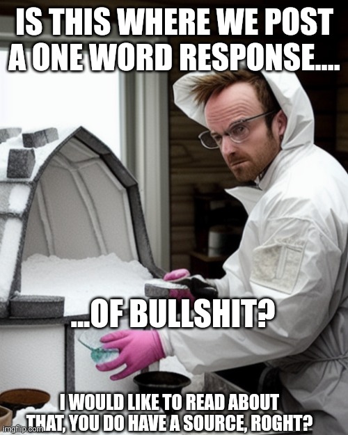 Snowcones | IS THIS WHERE WE POST A ONE WORD RESPONSE.... ...OF BULLSHIT? I WOULD LIKE TO READ ABOUT THAT, YOU DO HAVE A SOURCE, ROGHT? | image tagged in snowcones | made w/ Imgflip meme maker