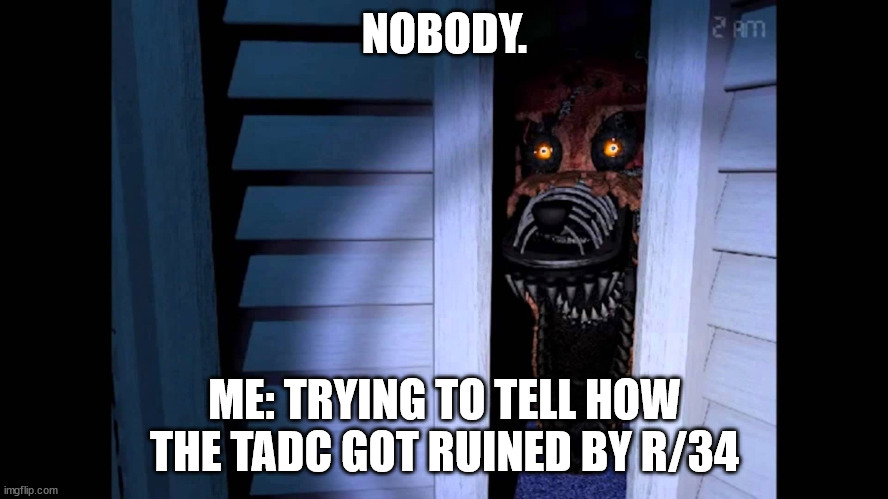 TADC got ruined by R/34 | NOBODY. ME: TRYING TO TELL HOW THE TADC GOT RUINED BY R/34 | image tagged in foxy fnaf 4 | made w/ Imgflip meme maker