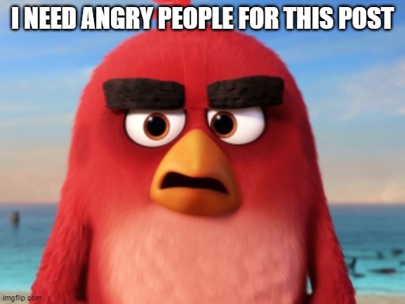 Angry Birds | I NEED ANGRY PEOPLE FOR THIS POST | image tagged in angry birds | made w/ Imgflip meme maker