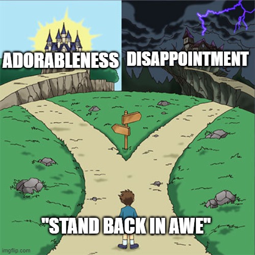 Two Paths | DISAPPOINTMENT; ADORABLENESS; "STAND BACK IN AWE" | image tagged in two paths | made w/ Imgflip meme maker