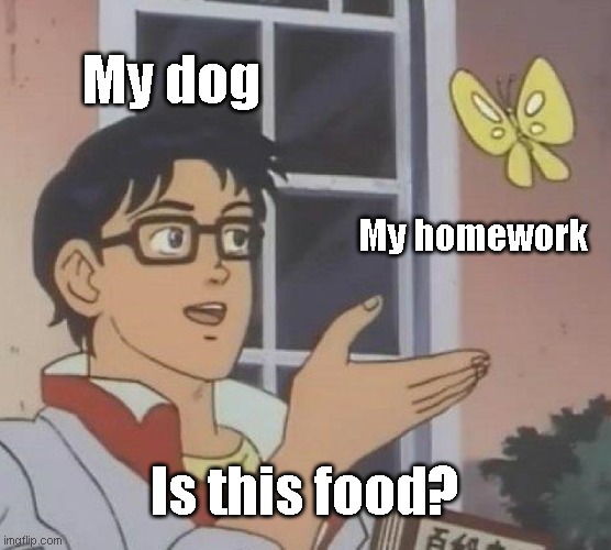 Is This A Pigeon Meme | My dog; My homework; Is this food? | image tagged in memes,is this a pigeon | made w/ Imgflip meme maker