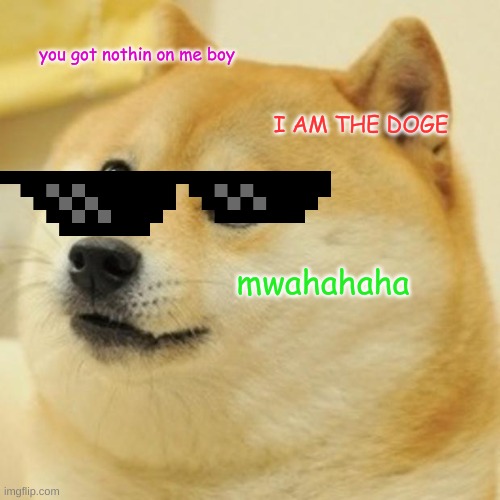 Doge Meme | you got nothin on me boy; I AM THE DOGE; mwahahaha | image tagged in memes,doge | made w/ Imgflip meme maker