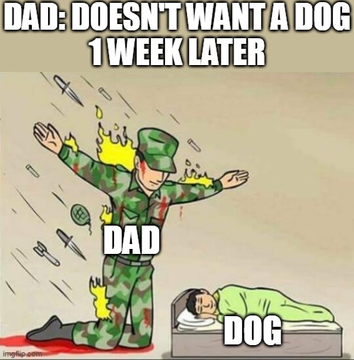 Soldier protecting sleeping child | DAD: DOESN'T WANT A DOG

1 WEEK LATER; DAD; DOG | image tagged in soldier protecting sleeping child | made w/ Imgflip meme maker