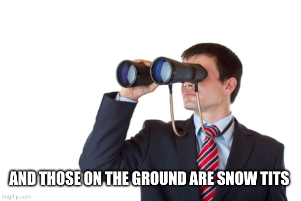 Binoculars | AND THOSE ON THE GROUND ARE SNOW TITS | image tagged in binoculars | made w/ Imgflip meme maker