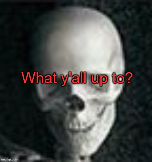 . | What y'all up to? | image tagged in skull | made w/ Imgflip meme maker