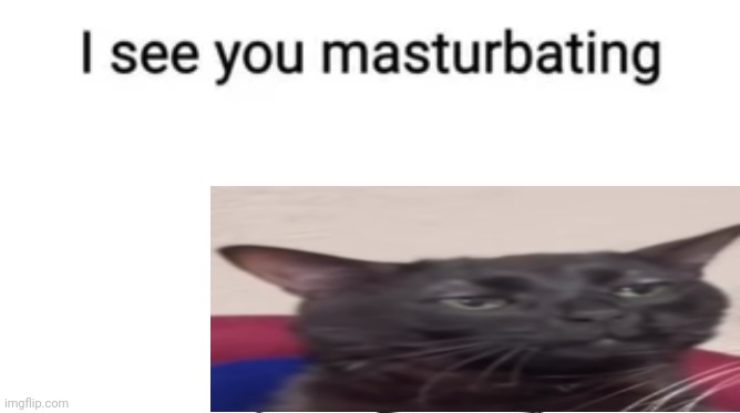 I see you masturbating | image tagged in i see you masturbating | made w/ Imgflip meme maker