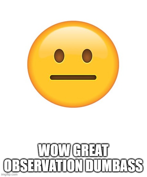 Straight Face | WOW GREAT OBSERVATION DUMBASS | image tagged in straight face | made w/ Imgflip meme maker