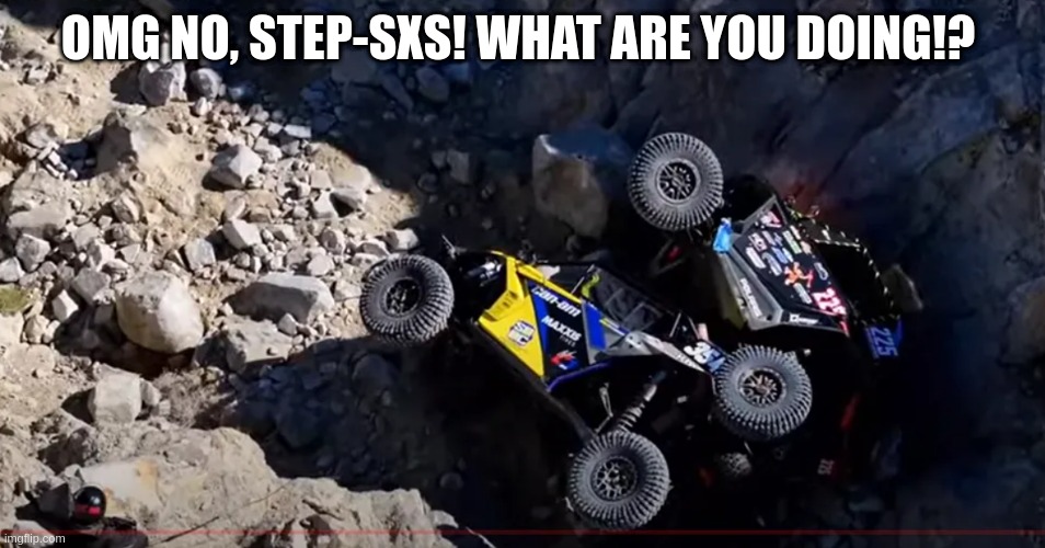 step sxs | OMG NO, STEP-SXS! WHAT ARE YOU DOING!? | image tagged in king of the hammers,memes of the hammers | made w/ Imgflip meme maker