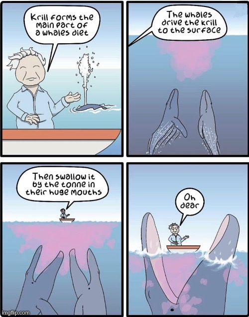 Whales | image tagged in whales feed on krill,comics | made w/ Imgflip meme maker
