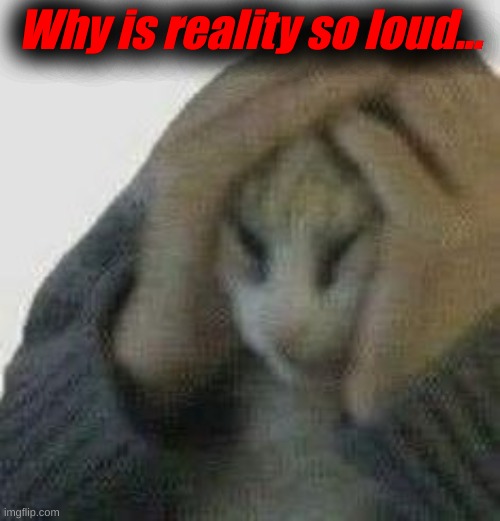 Why is reality so loud... | made w/ Imgflip meme maker