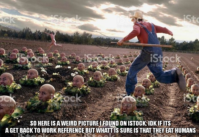 the fer is coming ! run before you become one of us (fer = farmer) | SO HERE IS A WEIRD PICTURE I FOUND ON ISTOCK. IDK IF ITS A GET BACK TO WORK REFERENCE BUT WHATT IS SURE IS THAT THEY EAT HUMANS | image tagged in cannibalism,get back to work,field,farmer,dark humor,dark humour | made w/ Imgflip meme maker