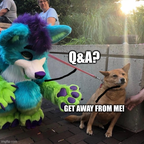q&a time | Q&A? GET AWAY FROM ME! | image tagged in dog afraid of furry | made w/ Imgflip meme maker