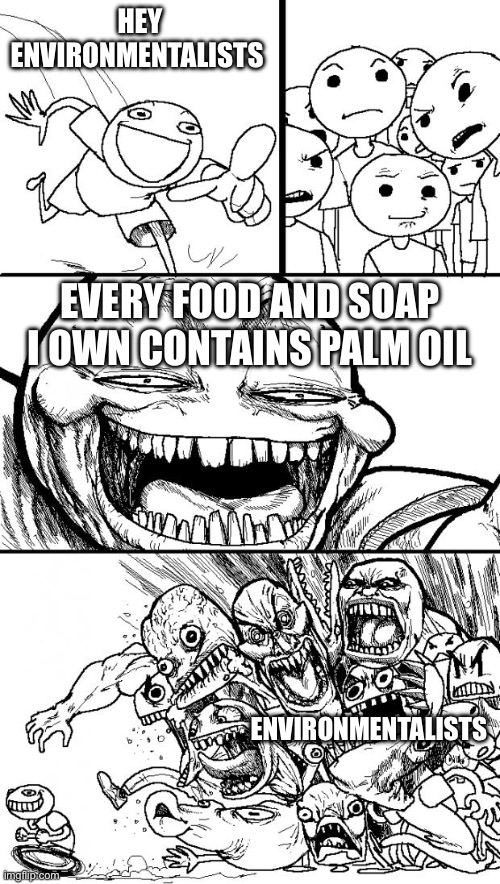 “Save the orangutans by not use products that contain palm oil.” environmentalist says | HEY ENVIRONMENTALISTS; EVERY FOOD AND SOAP I OWN CONTAINS PALM OIL; ENVIRONMENTALISTS | image tagged in memes,hey internet | made w/ Imgflip meme maker